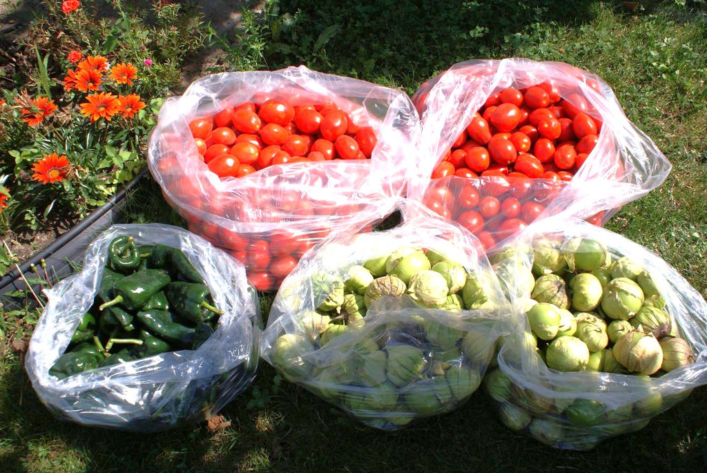 Spruce Ridge Farm market veggies 2014