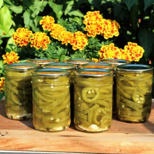 Pickled Jalapeno Rings