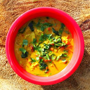 Chicken Mulligatawny Soup by Cansanity