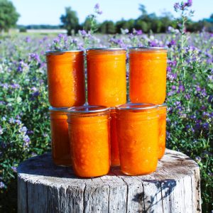 Classic Apricot Jam