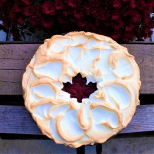 Cranberry Meringue Pie