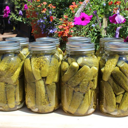 Mama's Dill Pickles