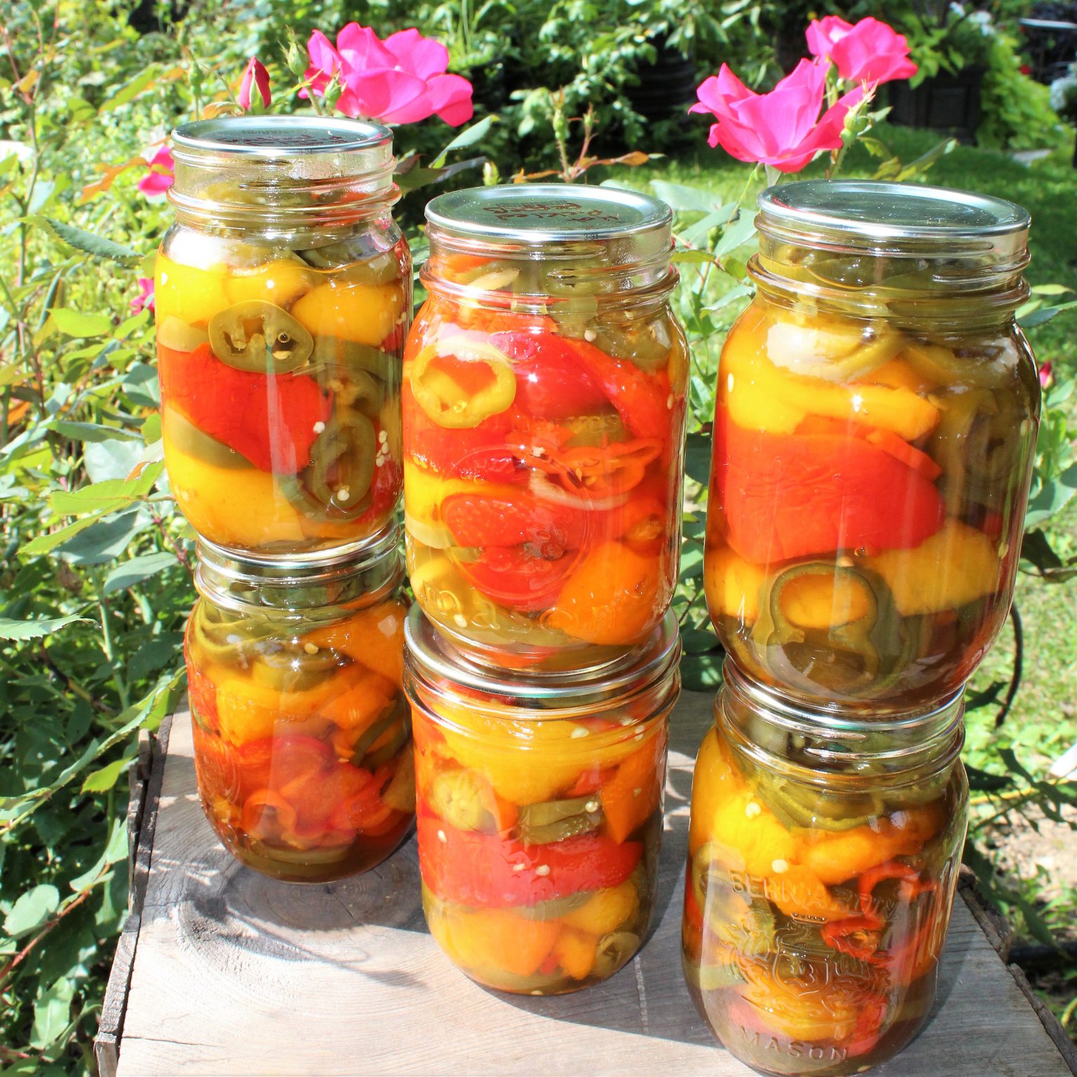 Pickled Roasted Bell Peppers With Hot Pepper Rings Cansanity