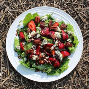 Strawberry Pecan Salad