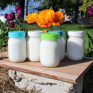 Homemade Yogurt by Cansanity
